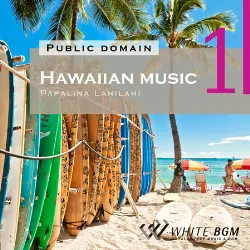 ＜名曲＞ハワイアンミュージック 1 - Papalina Lahilahi -（4019）