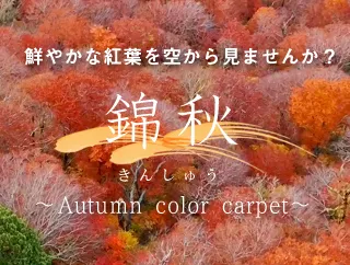 業務用鑑賞映像ソフト「錦秋 -Autumn color carpet-錦秋 -Autumn color carpet-」
