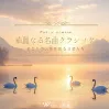 華麗なる名曲クラシック -あなたの人生を彩る音楽たち-（4174）