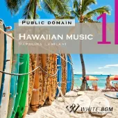 ＜名曲＞ハワイアンミュージック1 -Papalina Lahilahi-（4019）