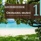 ＜名曲＞沖縄ミュージック -アコースティックギター＆三線-（4021
