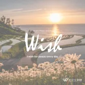 ウィッシュ -I wish for peace every day.- 限定版（4170g）