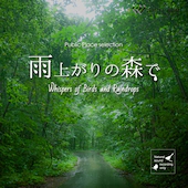 雨上がりの森で -Whispers of Birds and Raindrops-（4175）