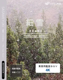 業務用鑑賞映像「細雪 －The first snow－」 4K画質