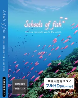 業務用鑑賞映像「Schools of fish－The sea connects you to the world.－」フルHD画質