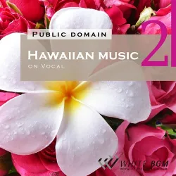 ハワイアンミュージック 2(4020)