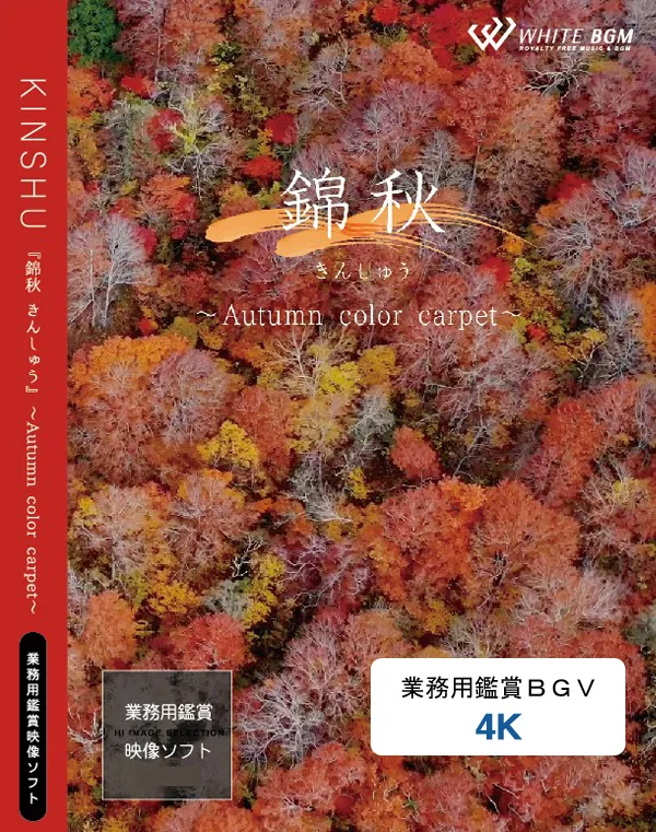業務用鑑賞映像「錦秋 －Autumn color carpet－」 4K画質