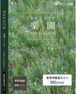 <p>業務用鑑賞映像「楽園 －The paradise－」SD画質