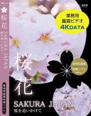 業務用鑑賞映像ソフト「桜花 －SAKURA JAPAN－ 桜を追いかけて」 4K版