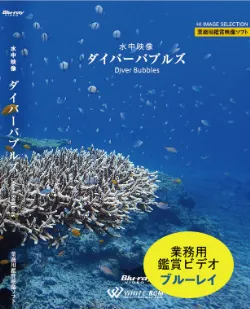 業務用鑑賞映像「水中映像・ダイバーバブルズ・ハイビジョン」フルHD画質