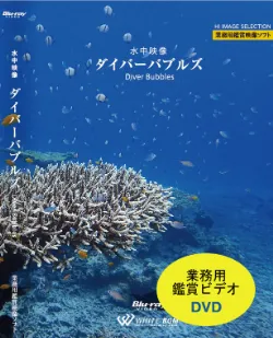 業務用鑑賞映像「水中映像・ダイバーバブルズ・ハイビジョン」SD画質