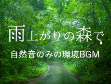森や小鳥、雨の音が織りなす静かな響きの【雨上がりの森で】の特集ページです