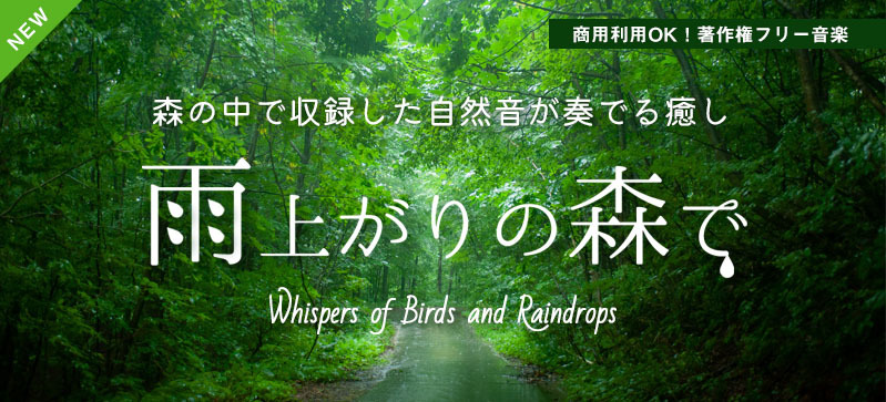 >雨上がりの森で -Whispers of Birds and Raindrops-（4175）