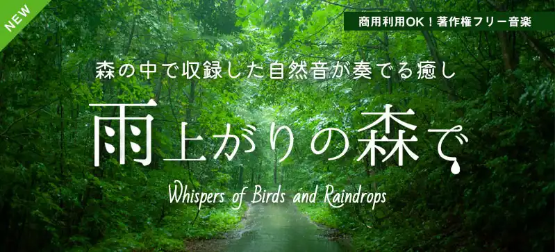>雨上がりの森で -Whispers of Birds and Raindrops-（4175）の画像です。