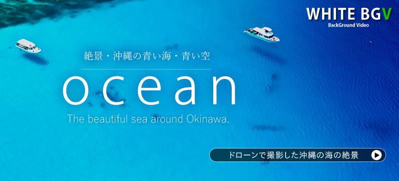 BGV Oceanのページへのリンクバナーです 