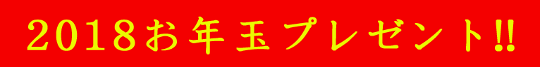 2018お年玉プレゼント!!