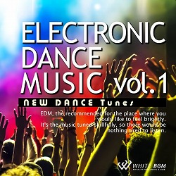 エレクトロニックダンスミュージック Vol 1 New Dance Tunes 4042 商用可 空間演出 著作権フリー音楽bgmcd