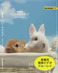 ジャケット画像