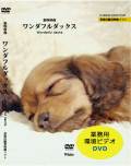 ジャケット画像
