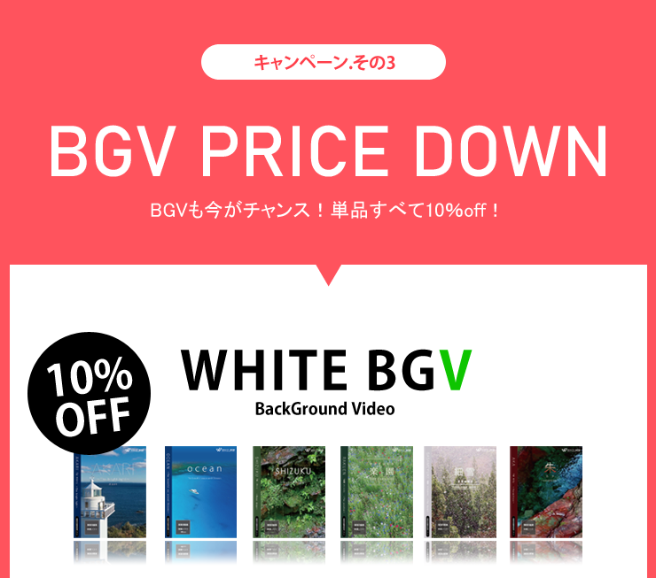 キャンペーンその3 プライスダウン　BGVも今がチャンス！単品すべて10％off！