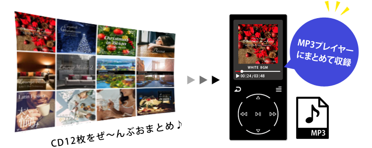 CD12枚をぜーんぶおまとめ