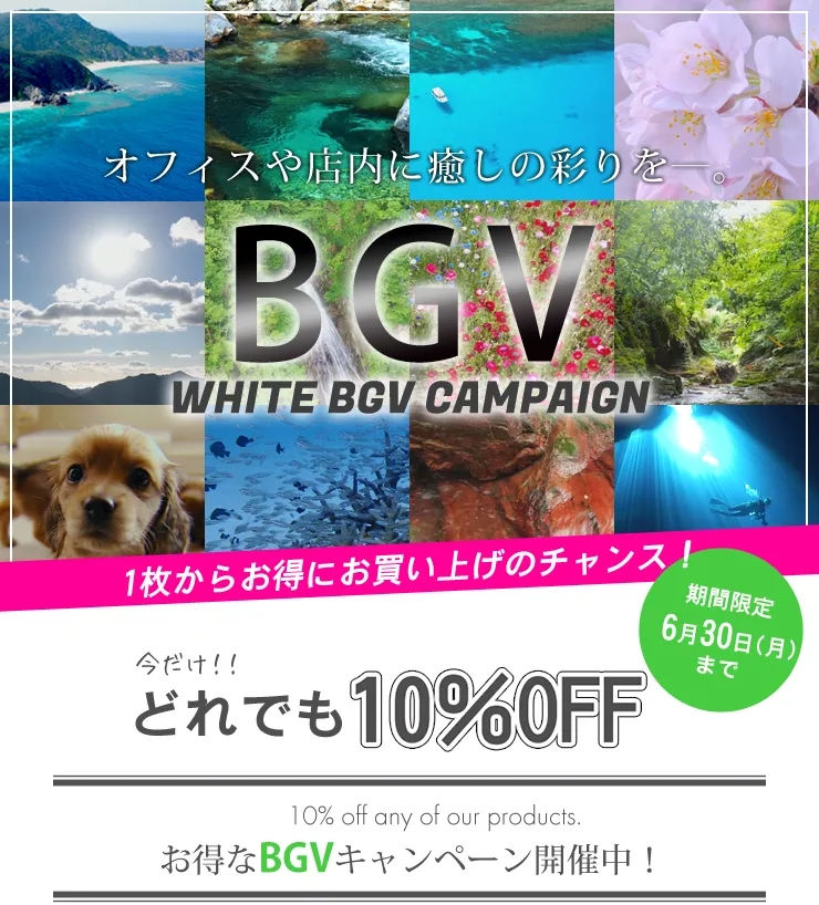 BGV10%OFF
