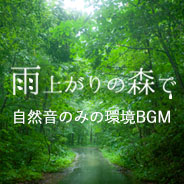 森や小鳥、雨の音が織りなす静かな響きの【雨上がりの森で】の特集ページです