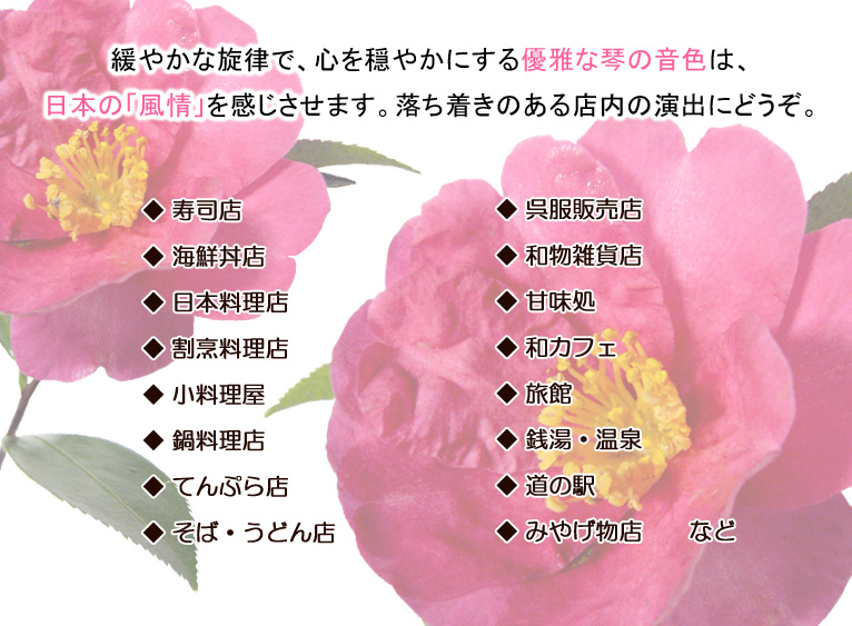 おすすめの和風bgm 琴 著作権フリー音楽 Bgm White Bgm 店舗向けbgm Cd通販